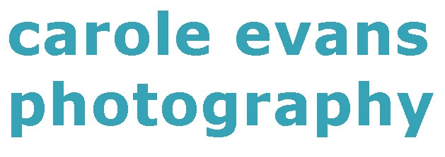 carole evans photography