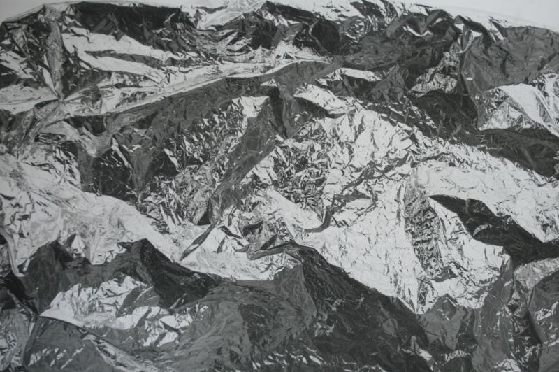 Pedro Wainer - 50 x 60 cm. Exposición directa sobre gelatina de plata. Impresión Única. (2011)