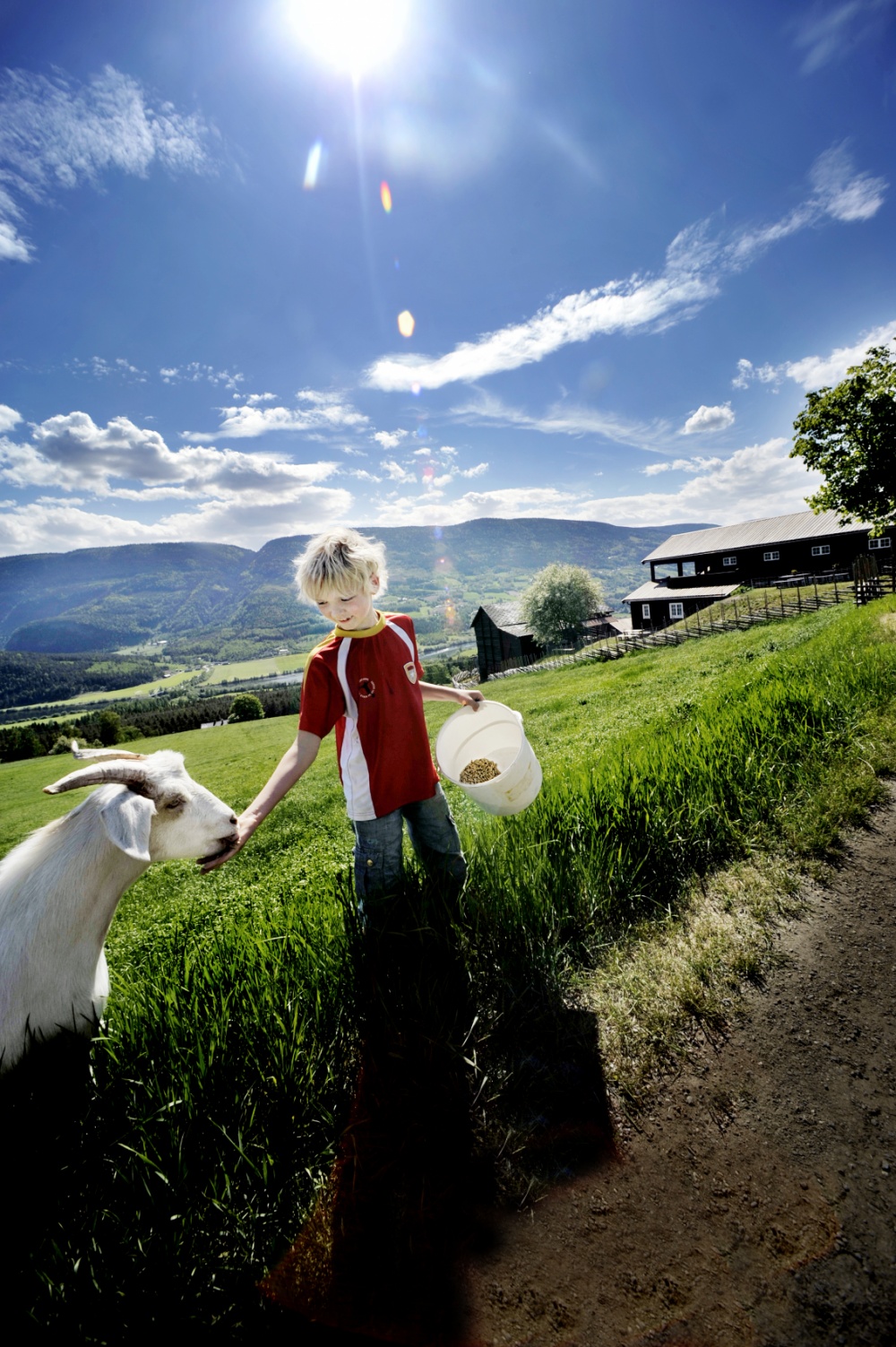 John T. Pedersen Photography - Hundorp Farmer boy