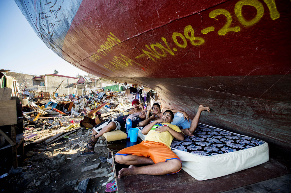 John T. Pedersen Photography - 2013 They survived Shelter under the ship.