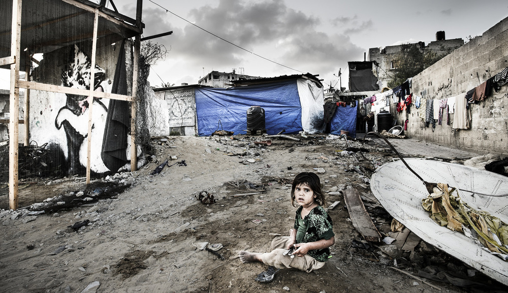 John T. Pedersen Photography -