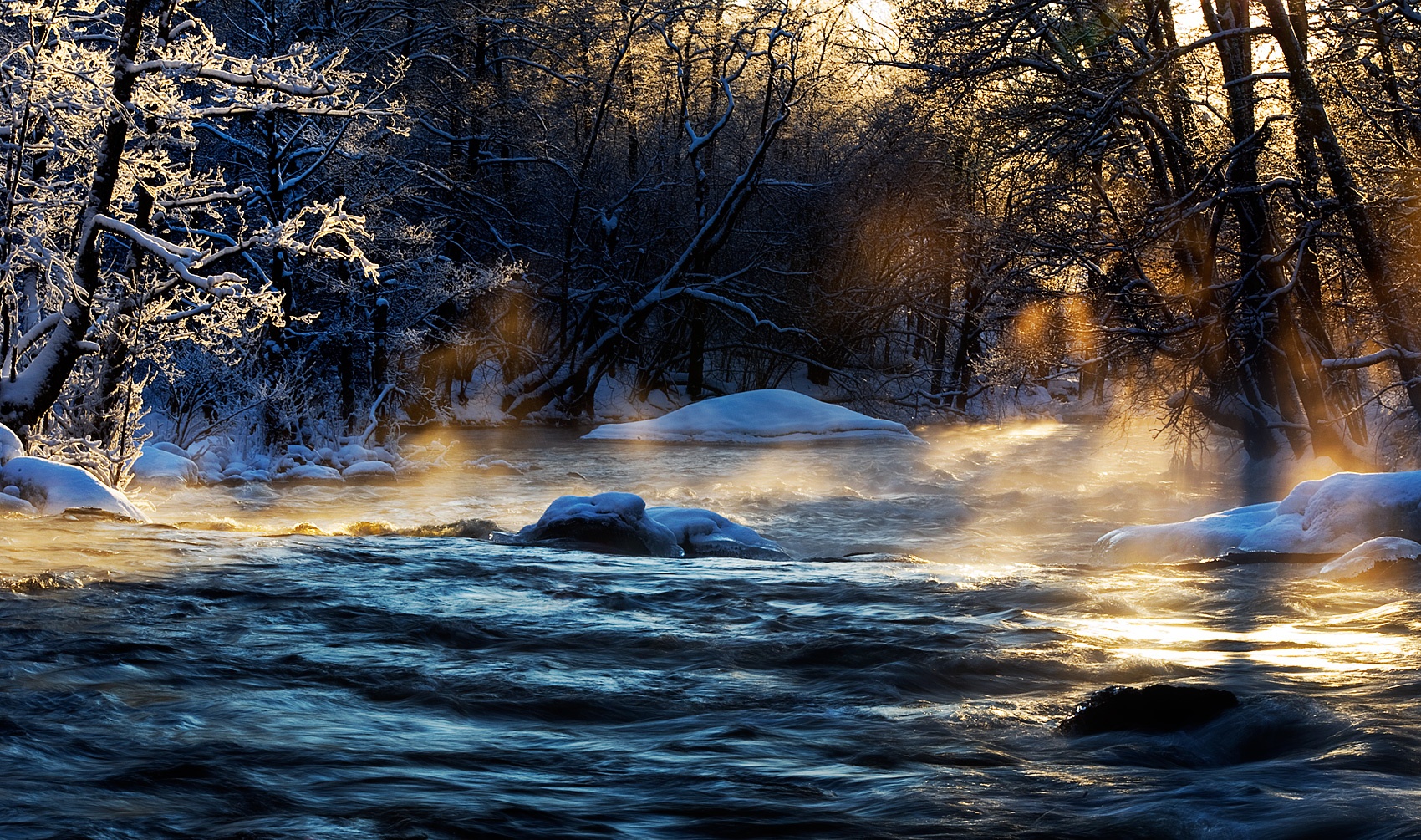 madtroutphotography -