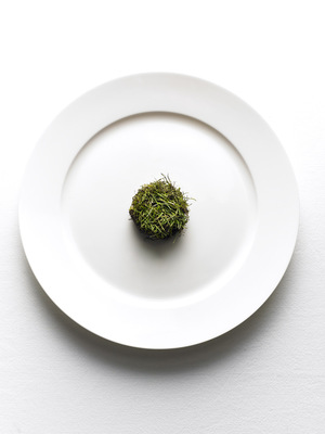 Stephen Lenthall - Cereal