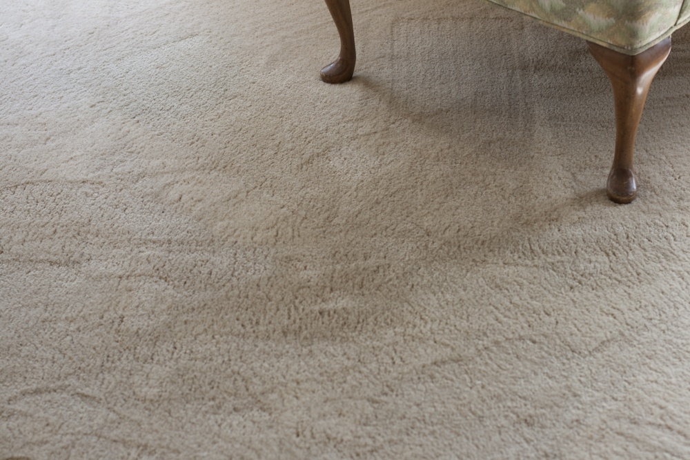 Jennifer Murray - Empire 