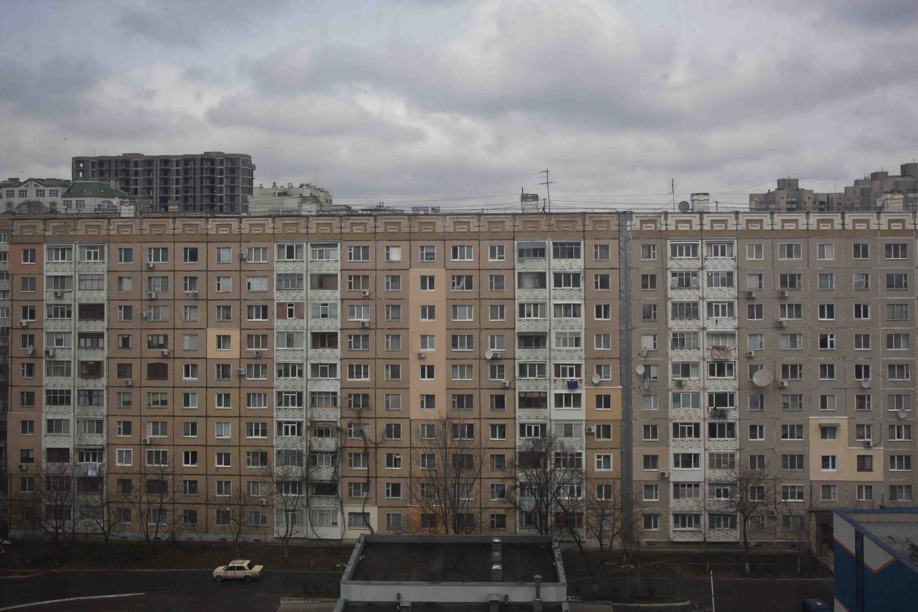 Baerbel Reinhard -