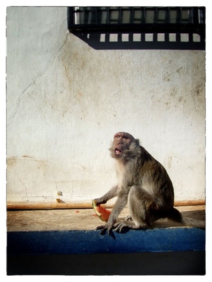Andrew Bannerman-Bayles - Monkey Mountain Hua Hin, Thailand