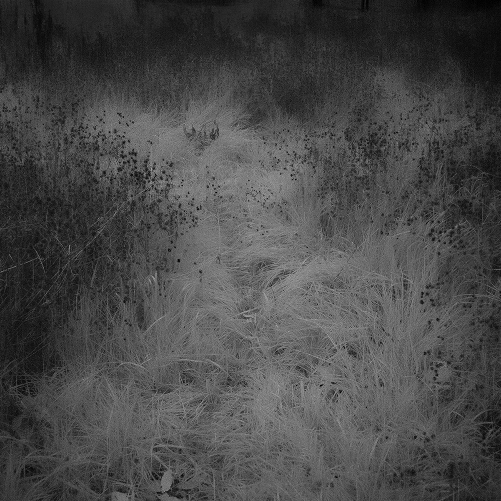 TOSHIYA WATANABE PHOTOGRAPHY -