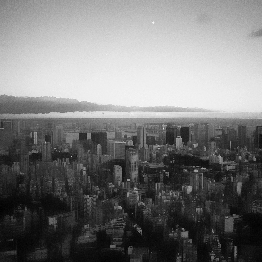 TOSHIYA WATANABE PHOTOGRAPHY -
