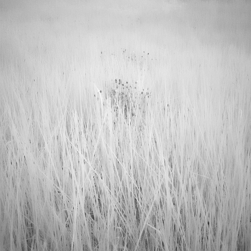 TOSHIYA WATANABE PHOTOGRAPHY -