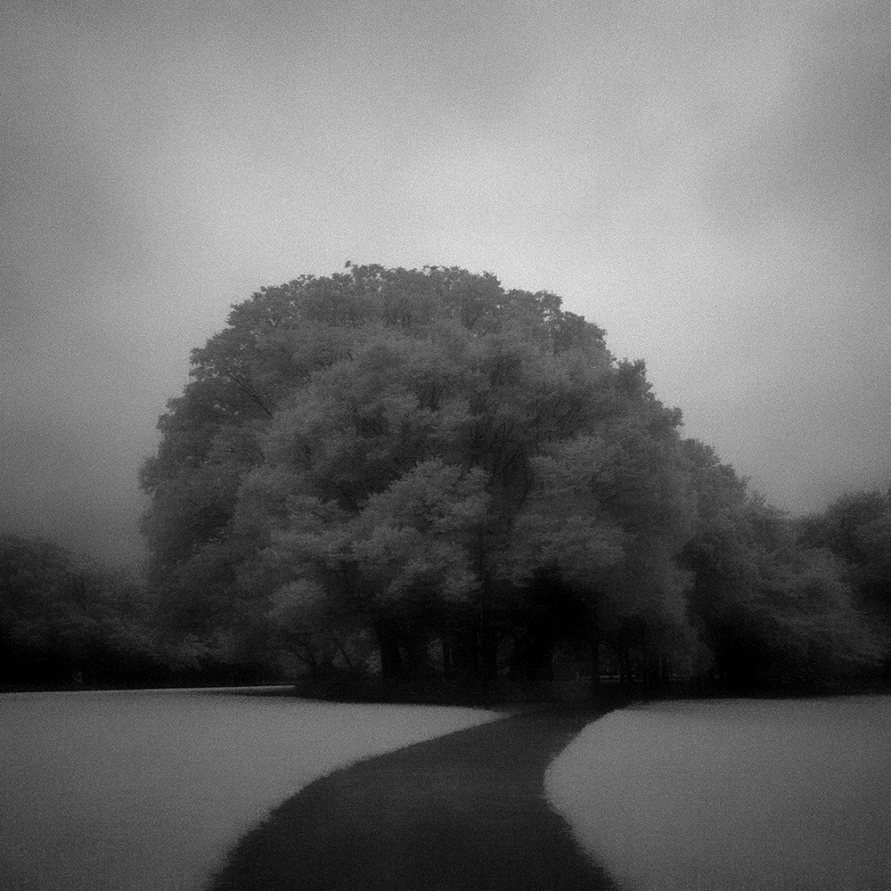 TOSHIYA WATANABE PHOTOGRAPHY -