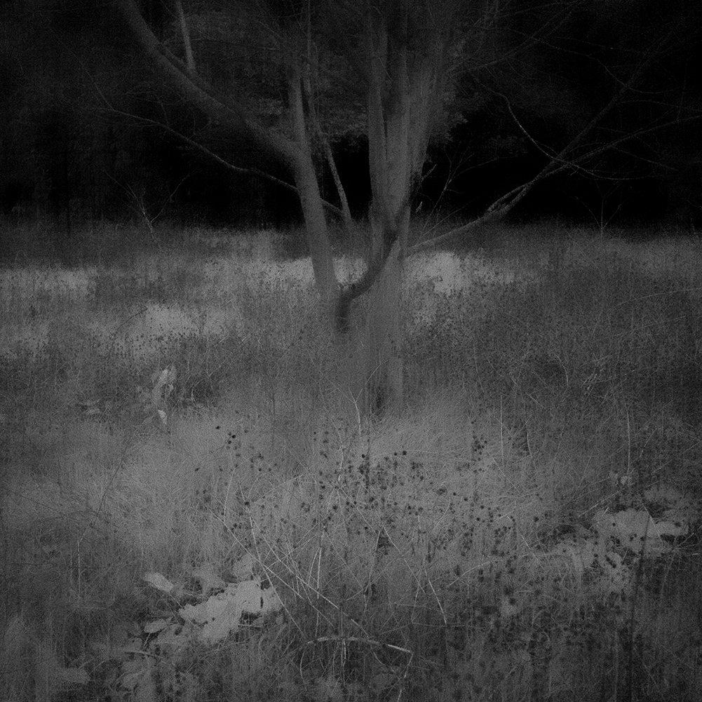 TOSHIYA WATANABE PHOTOGRAPHY -