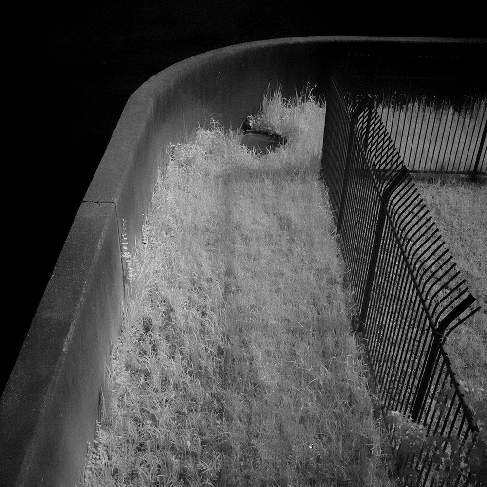 TOSHIYA WATANABE PHOTOGRAPHY -
