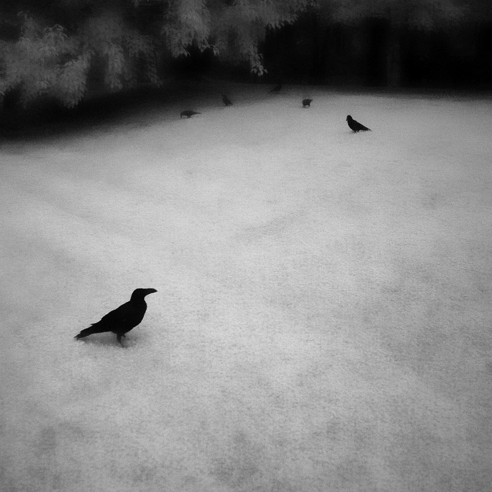 TOSHIYA WATANABE PHOTOGRAPHY -