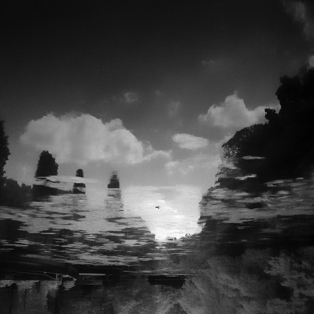 TOSHIYA WATANABE PHOTOGRAPHY -