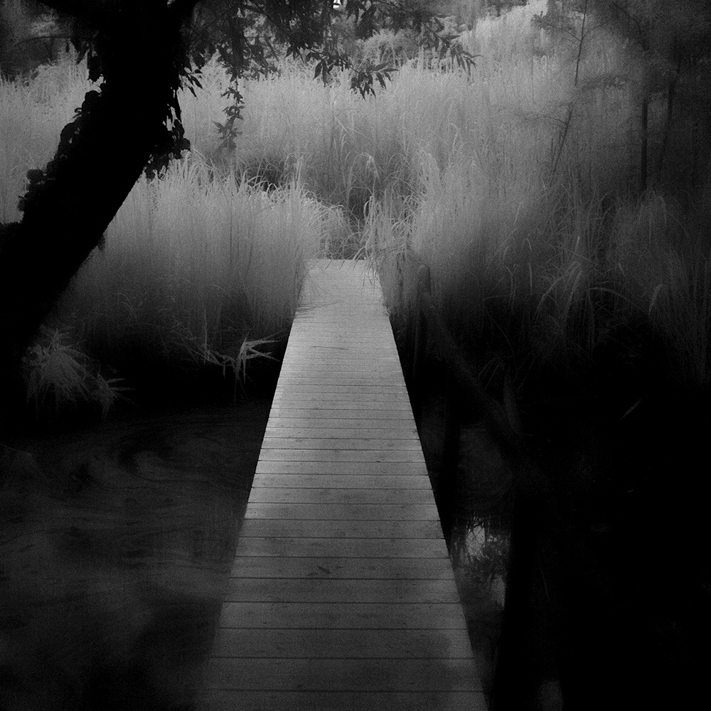 TOSHIYA WATANABE PHOTOGRAPHY -