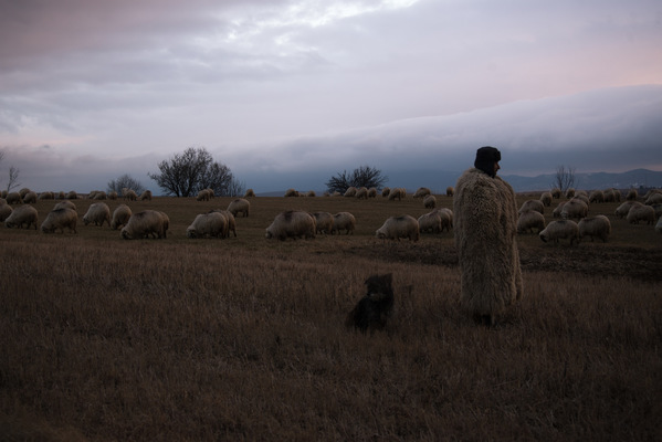 a l e s s a n d r o f a g i o l i - Transilvania, Romania