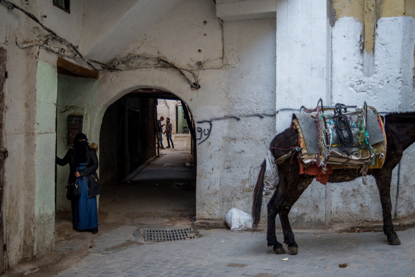 a l e s s a n d r o f a g i o l i - Fez, Morocco