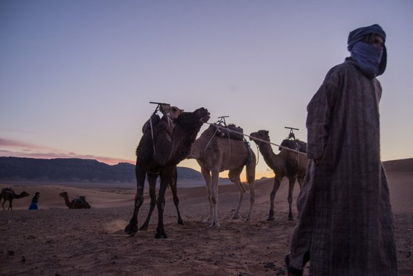a l e s s a n d r o f a g i o l i - Zagora desert, Morocco