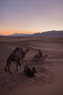 a l e s s a n d r o f a g i o l i - Zagora desert, Morocco