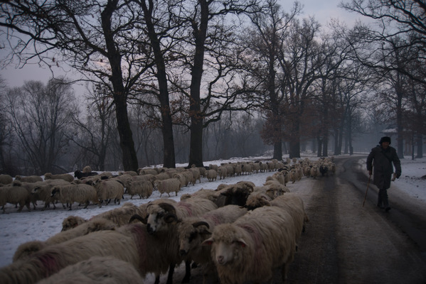 a l e s s a n d r o f a g i o l i - Săpânța, Romania