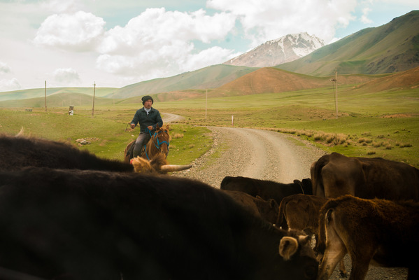 a l e s s a n d r o f a g i o l i - Naryn, Kyrgyzstan, 2018
