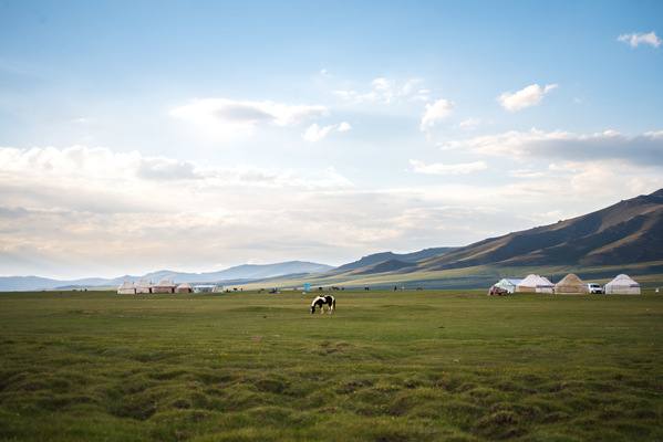 a l e s s a n d r o f a g i o l i - Song Kul lake, Kyrgyzstan, 2018