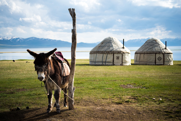 a l e s s a n d r o f a g i o l i - Song Kul lake, Kyrgyzstan, 2018
