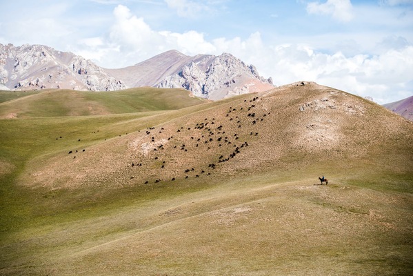 a l e s s a n d r o f a g i o l i - Song Kul lake, Kyrgyzstan, 2018