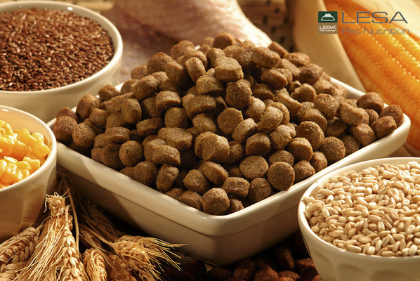 Özgür Ülker Photography - LESA pet food