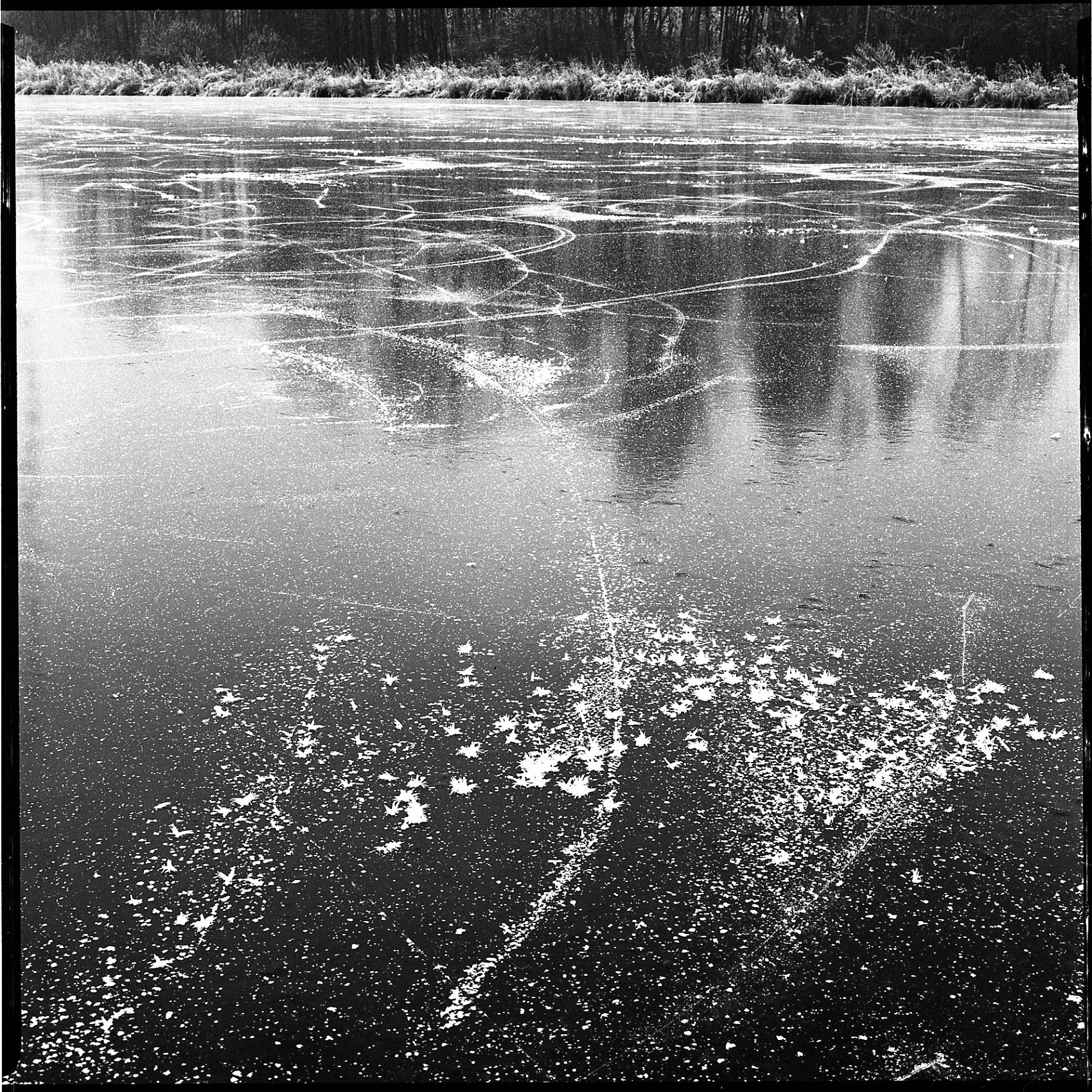 6×6 – Martin Andrle