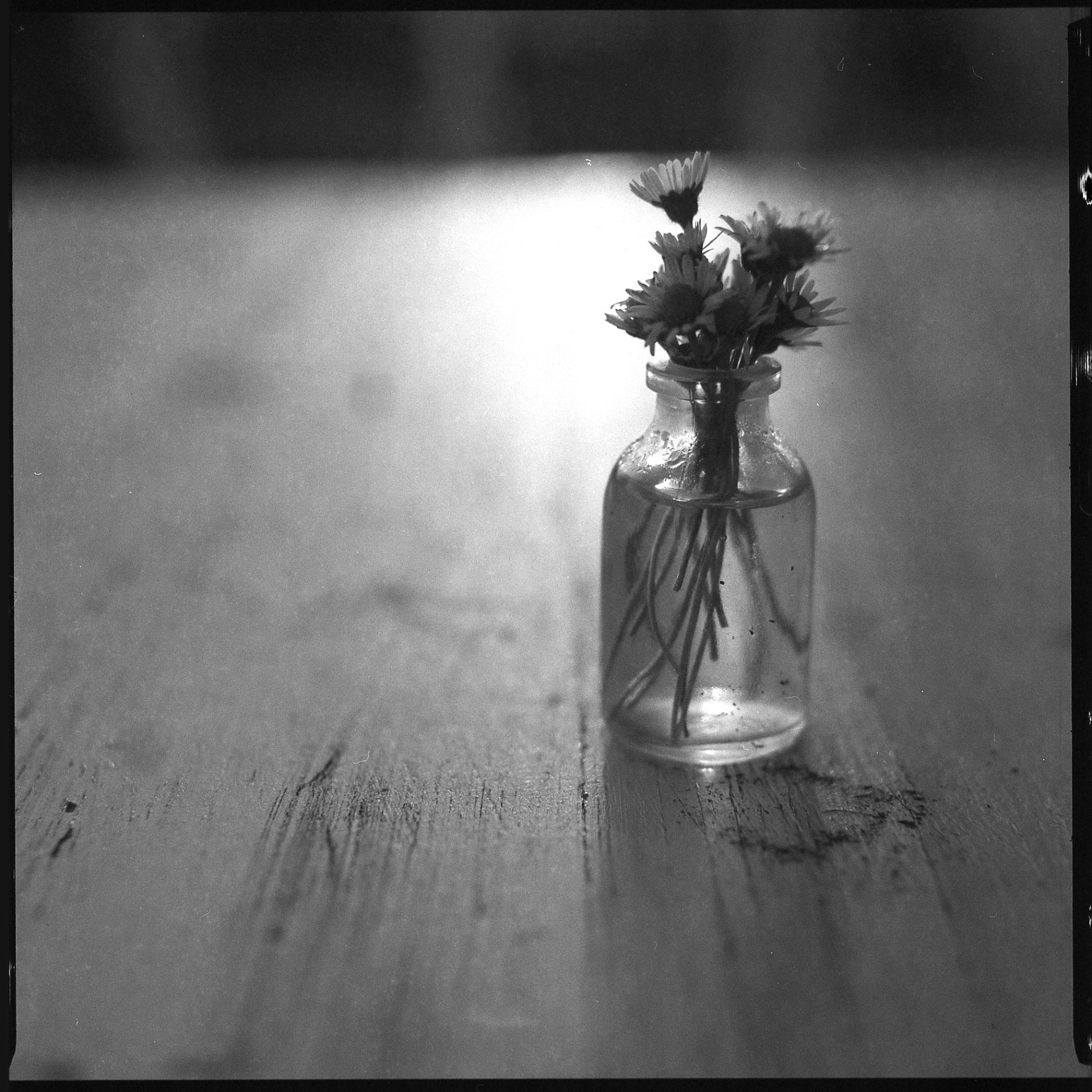 6×6 – Martin Andrle