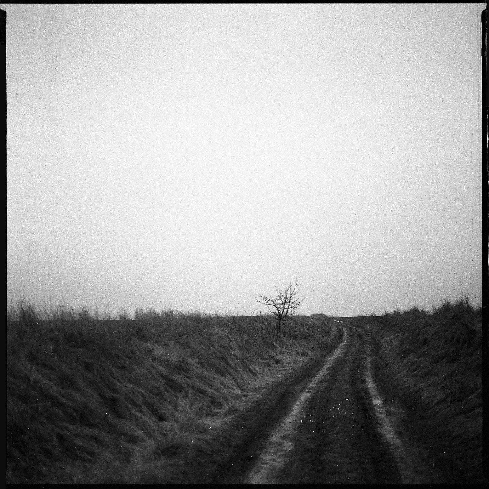 6×6 – Martin Andrle