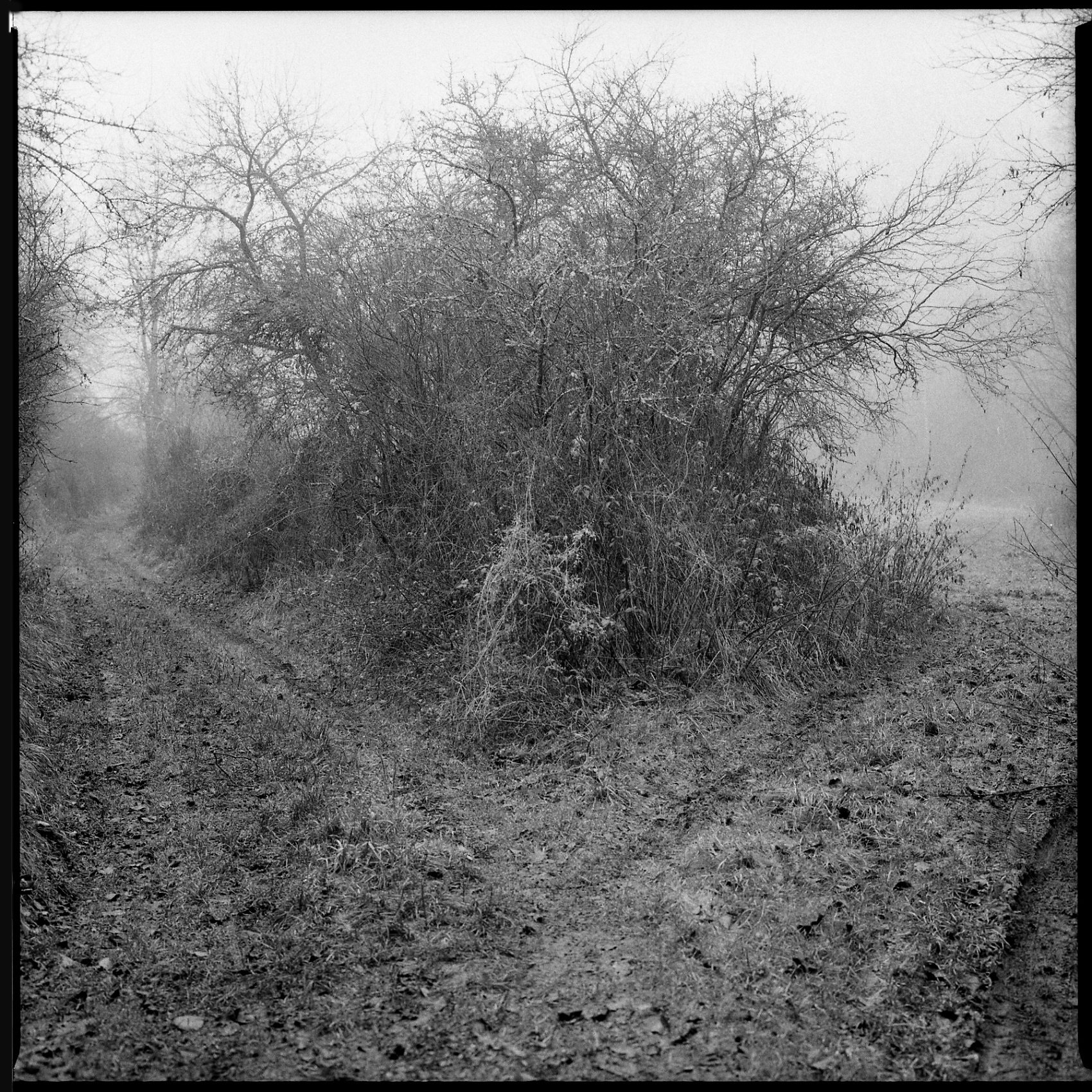 6×6 – Martin Andrle
