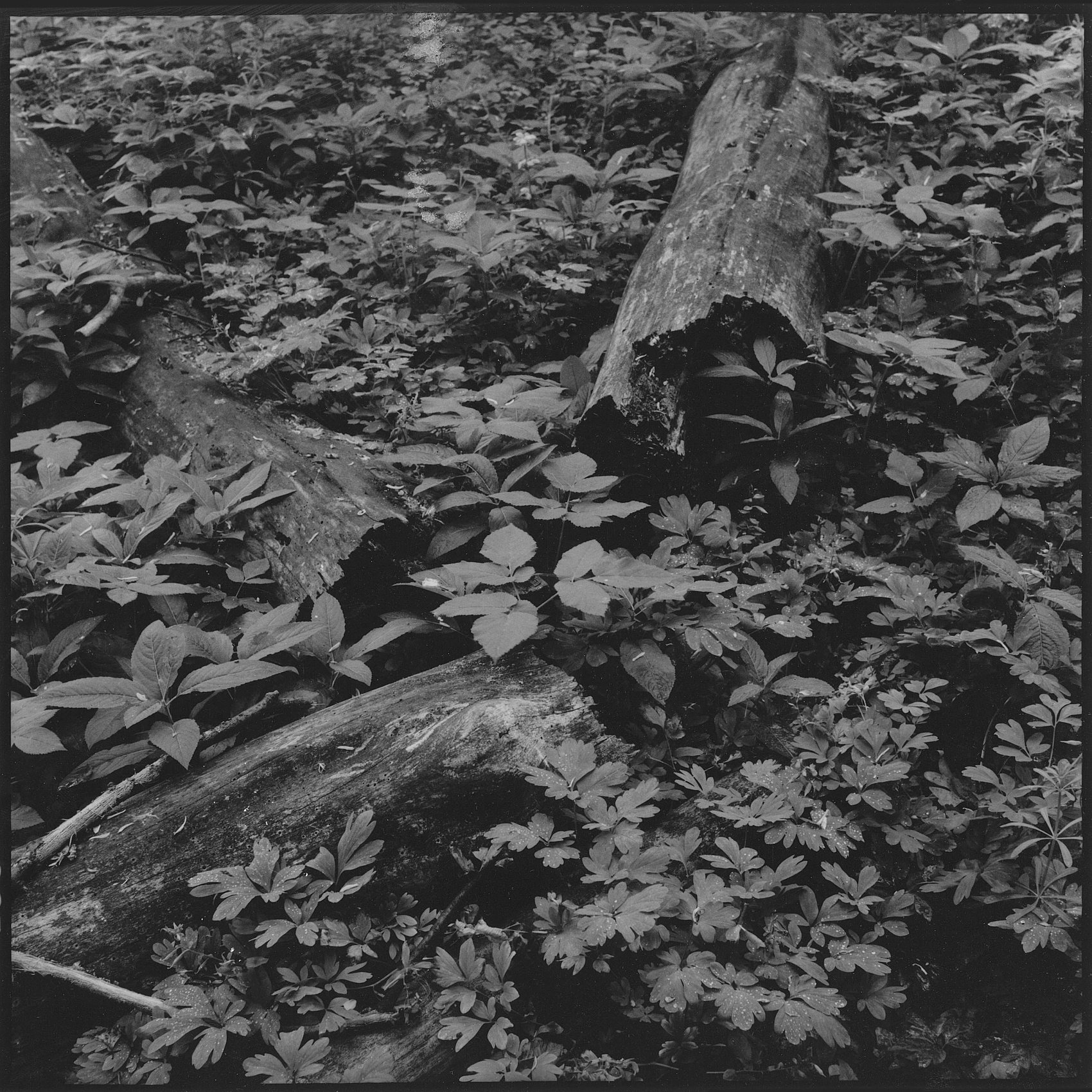 6×6 – Martin Andrle