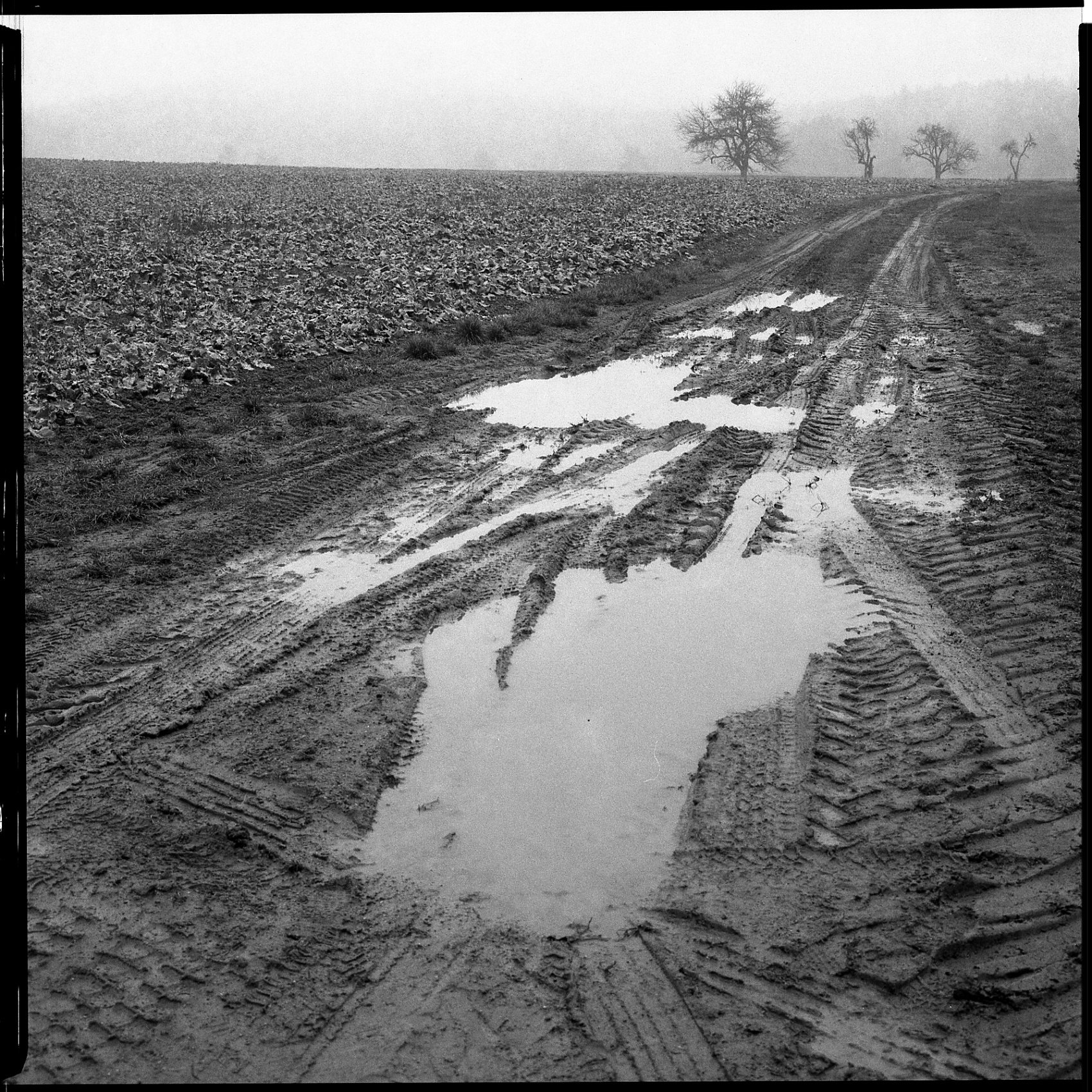 6×6 – Martin Andrle