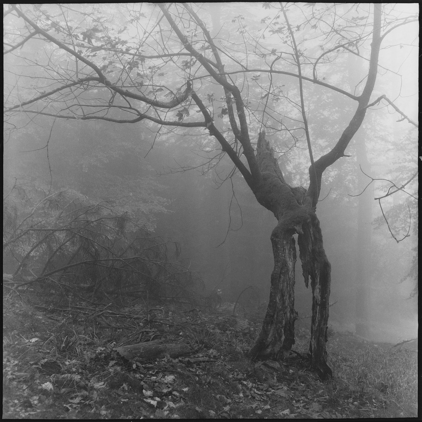 6×6 – Martin Andrle