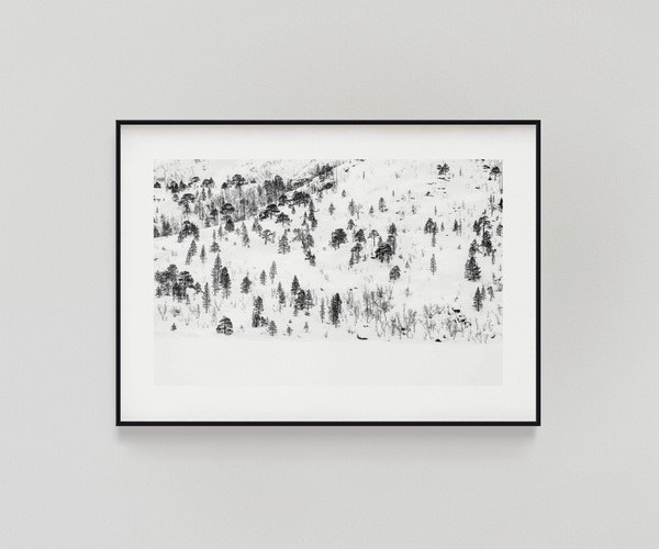 WINTER FOREST #1