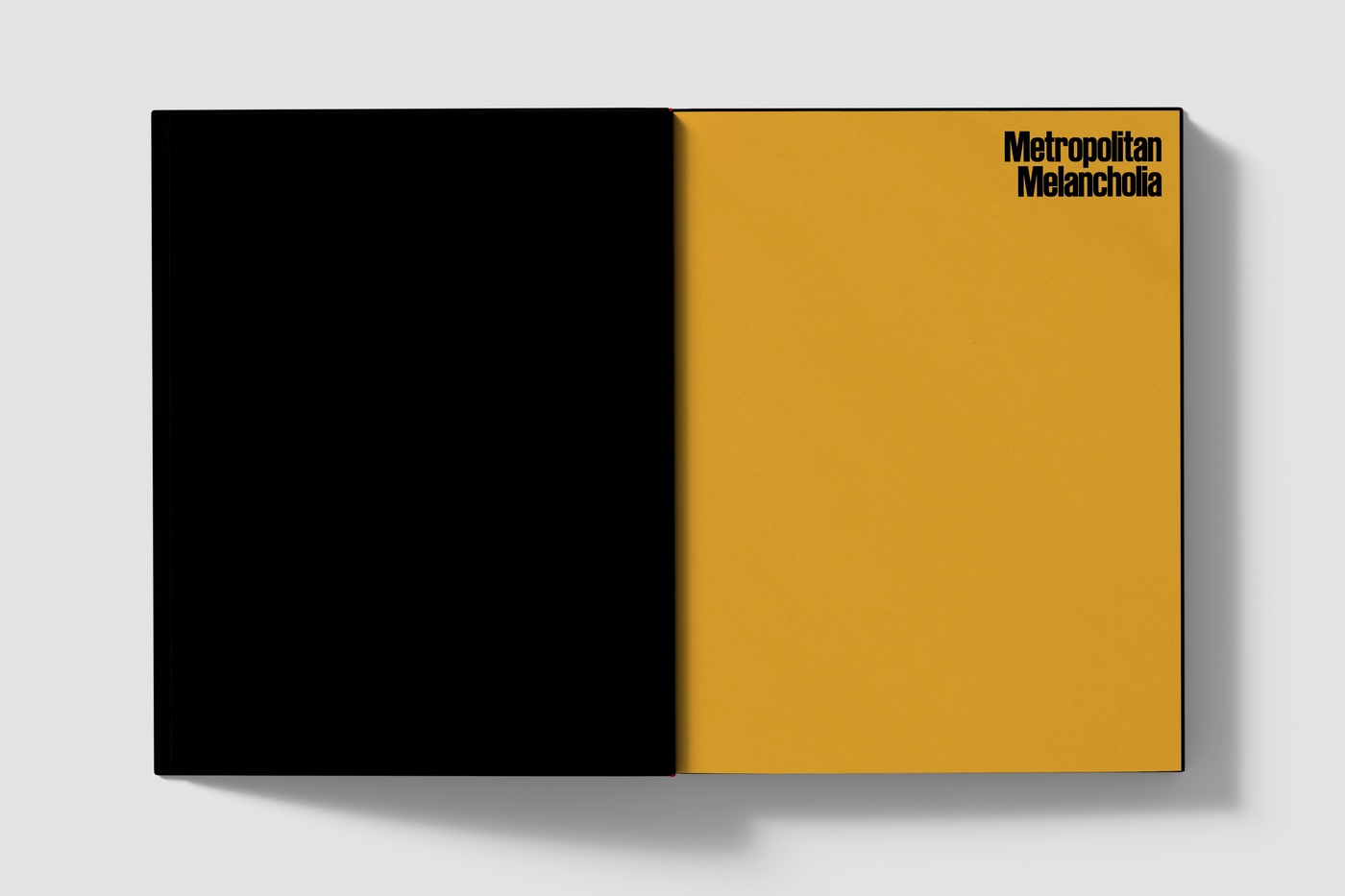 Metropolitan Melancholia - www.davidvdleeuw.com