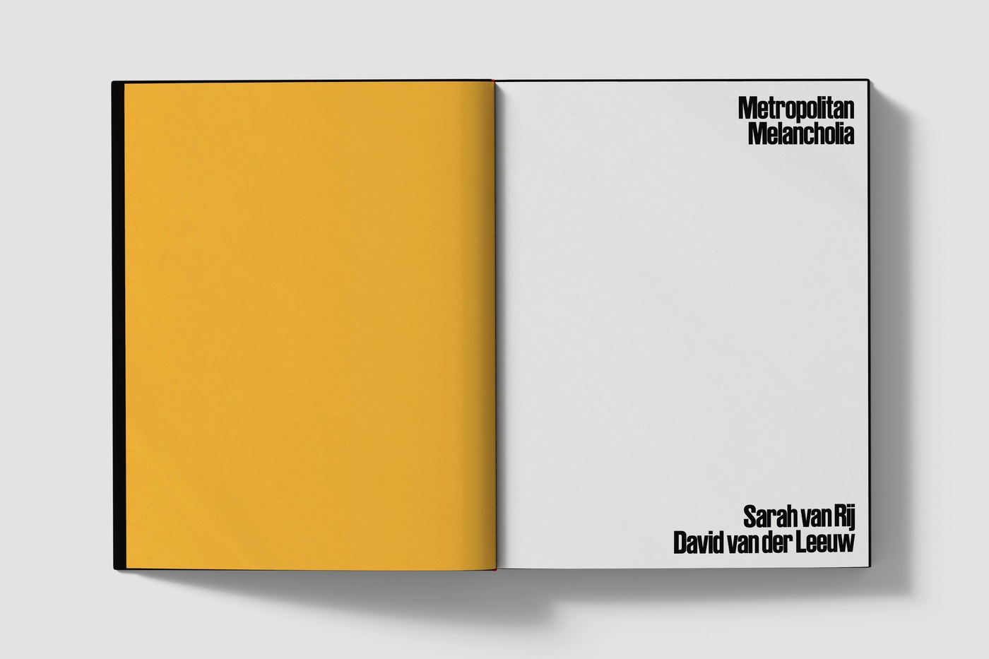 Metropolitan Melancholia - www.davidvdleeuw.com Metropolitan Melancholia - www.davidvdleeuw.com