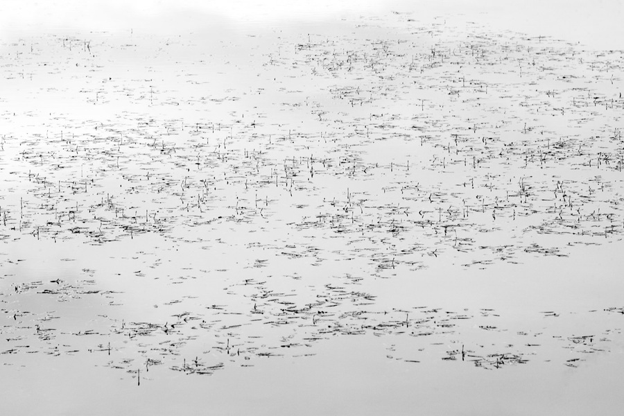 traces #02