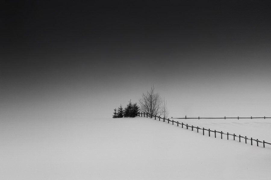 fence