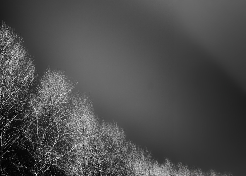Silentes #04