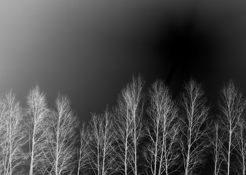 Silentes #05