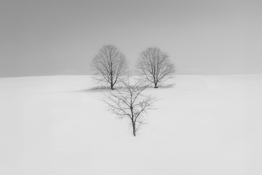 three trees