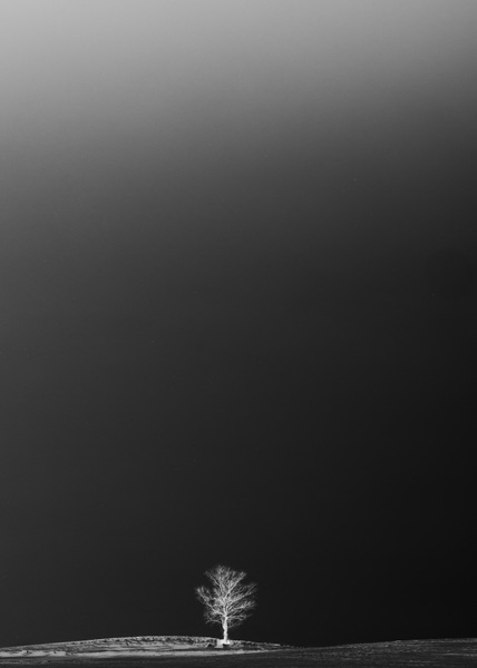 Silentes #06