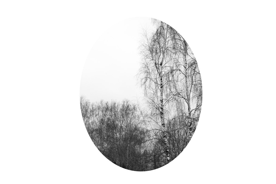 Windows #01