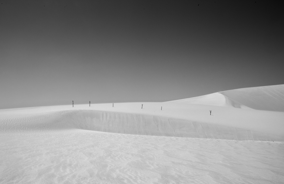Jericoacoara Desert