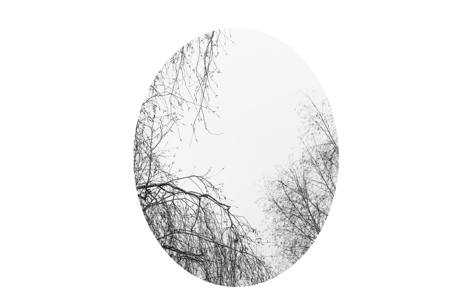 Windows #06