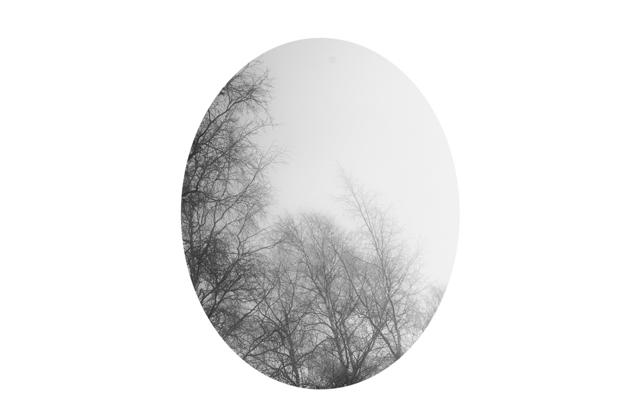 Windows #05