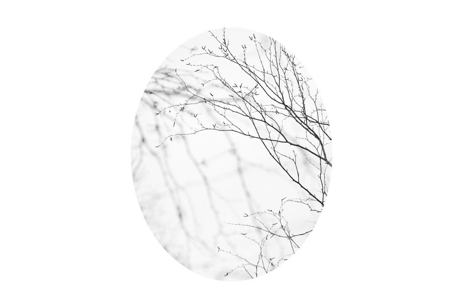 Windows #10